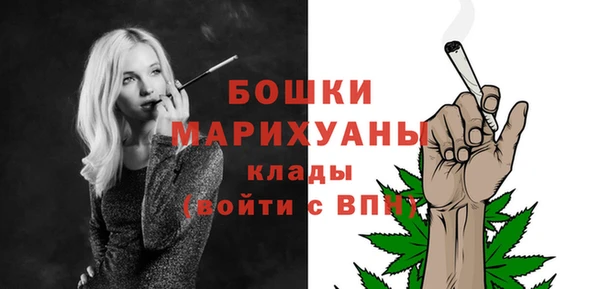гашик Михайлов