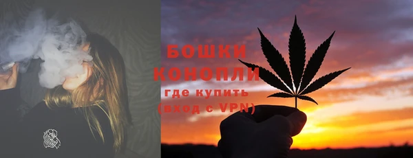 гашик Михайлов