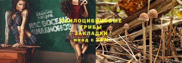 альфа пвп Михайловск