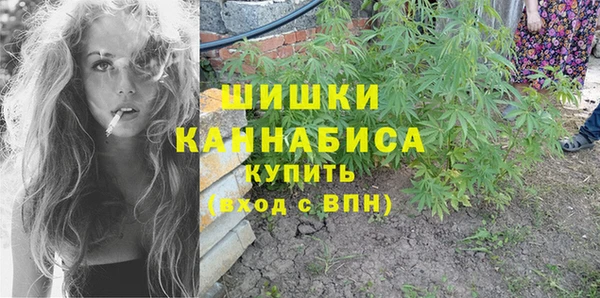 гашик Михайлов