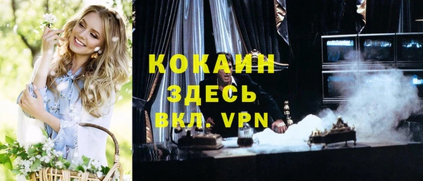 гашик Михайлов