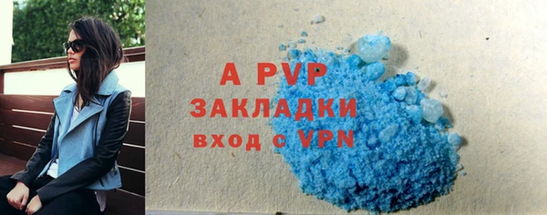гашик Михайлов