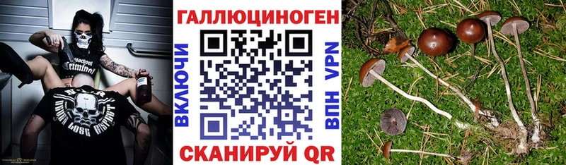 Псилоцибиновые грибы MAGIC MUSHROOMS Кропоткин